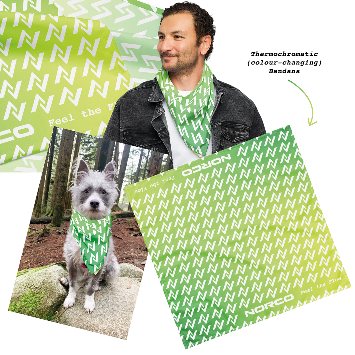 1200×1200-thermochromatic-bandana