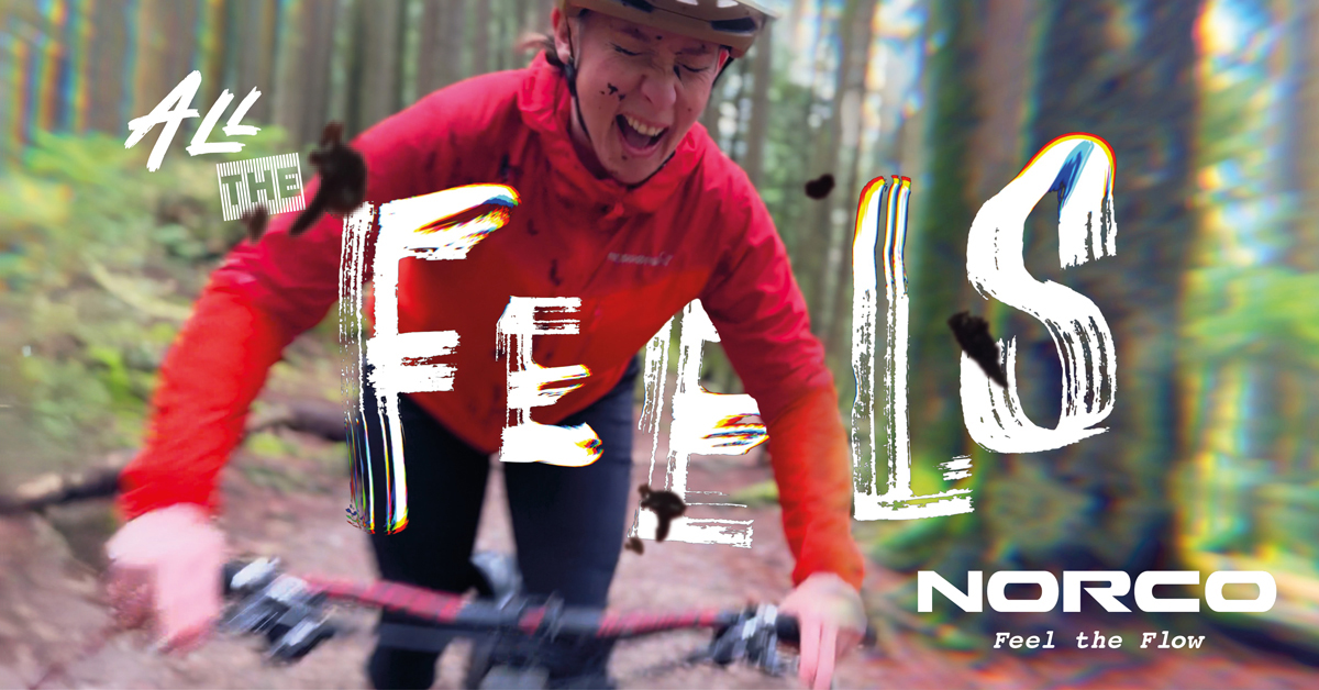 1200×628-all-of-the-feels-norco-google-ad