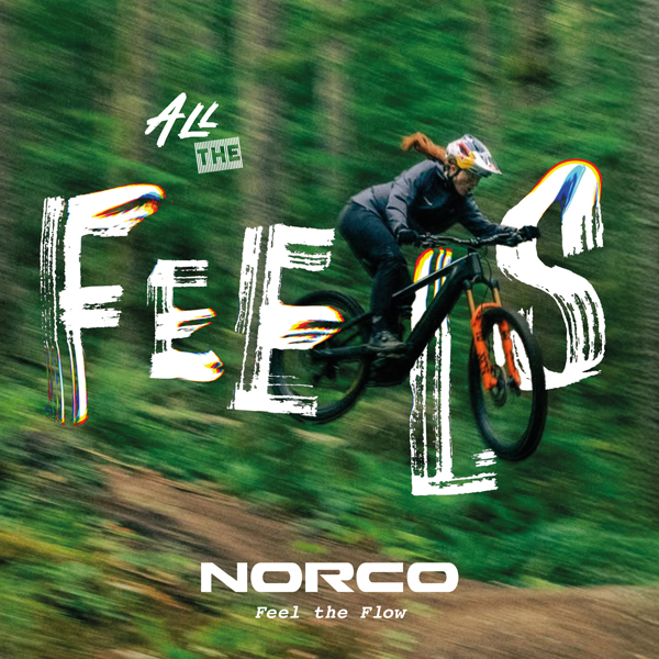 600×600-gracie-hemstreet-google-banner-ad